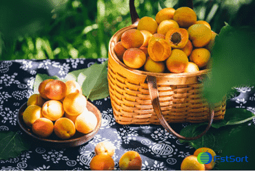 images/1720682631159Pak Fruit Garden”Xinjiang taste”.png